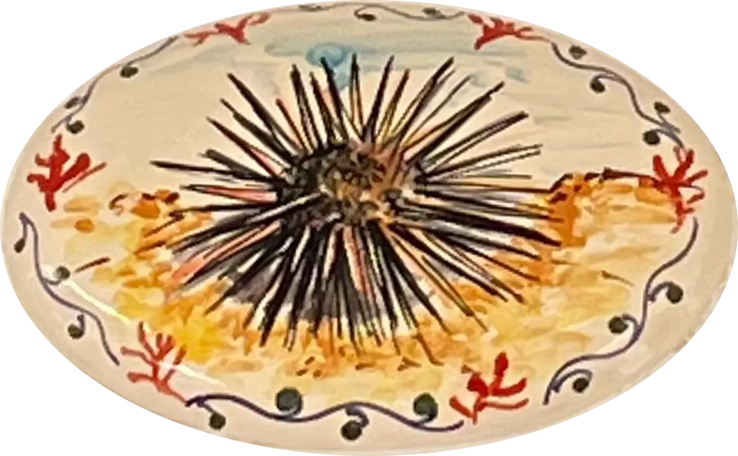 Logo della Stanza Riccio in ceramica dipinta a mano
